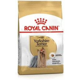 Pienso Royal Canin...