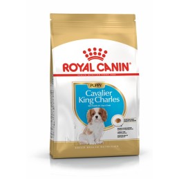 Pienso Royal Canin Cavalier...